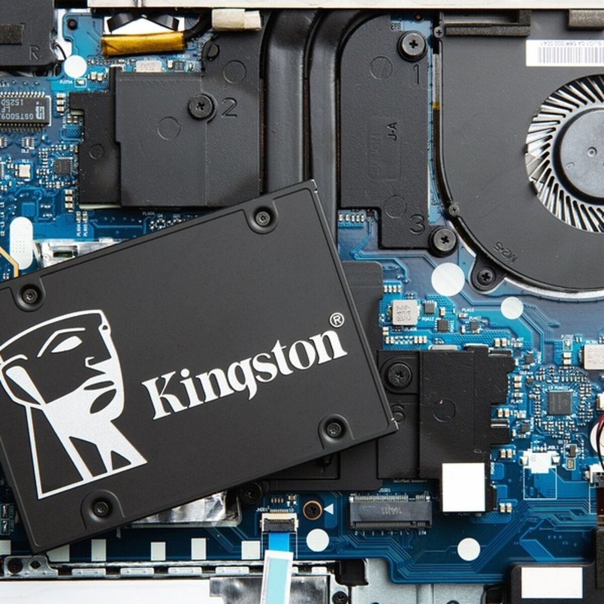 Hard Drive Kingston KC600 2.5" SSD 1 TB SSD