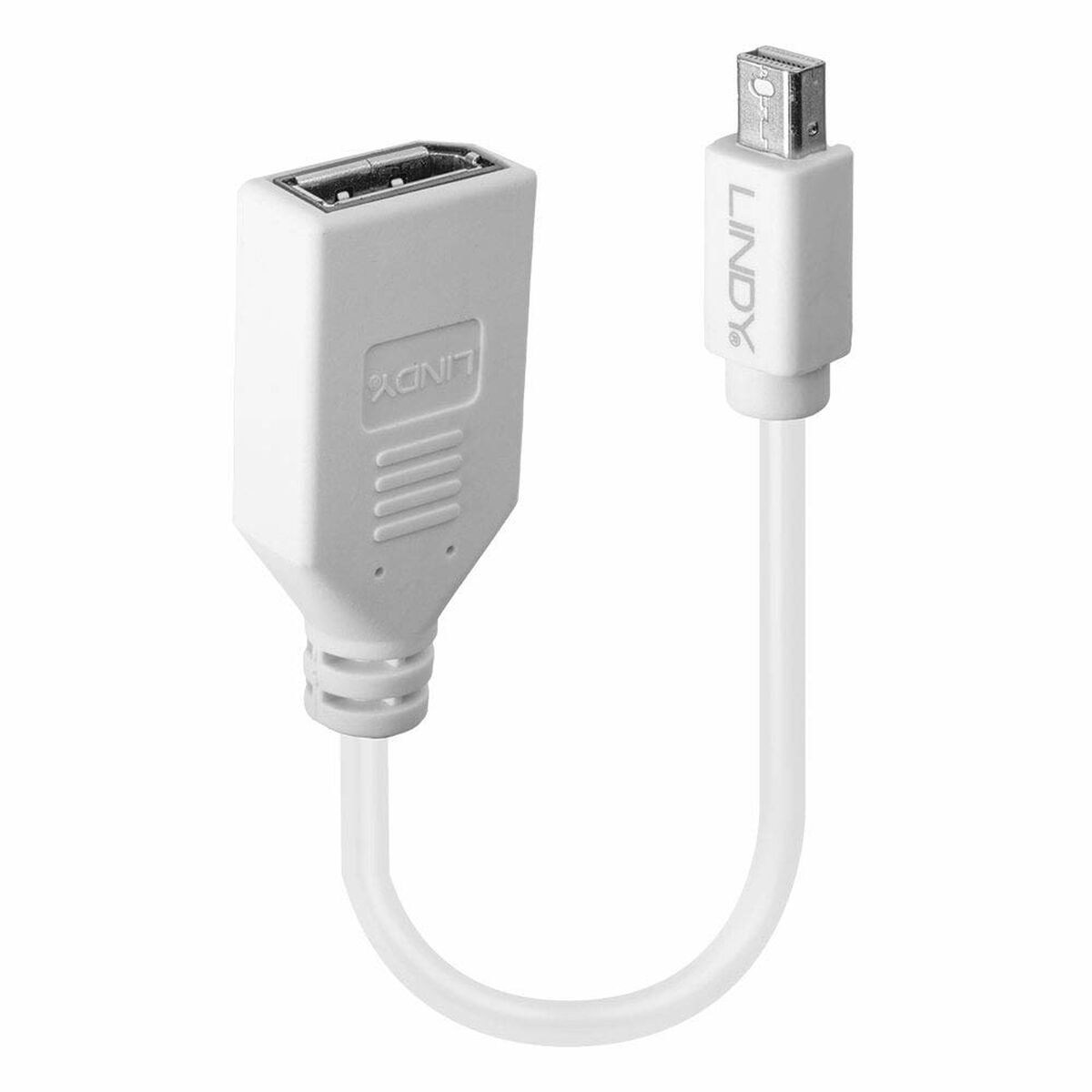 Mini DisplayPort to DisplayPort Adapter LINDY 41021 White