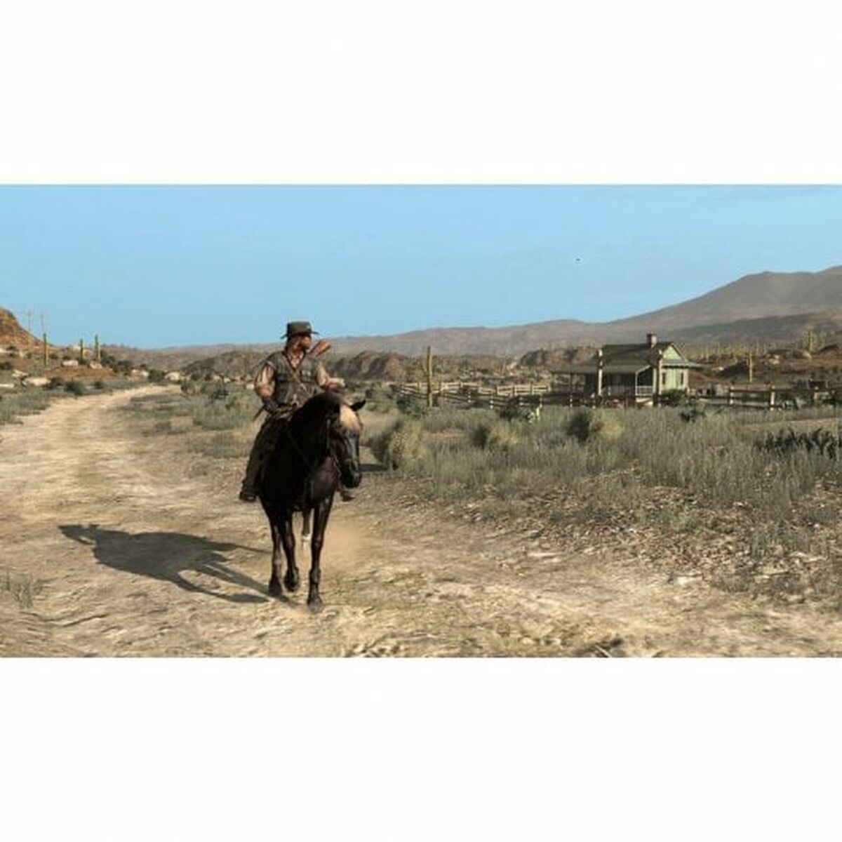 PlayStation 4 Video Game Sony RDR PS4