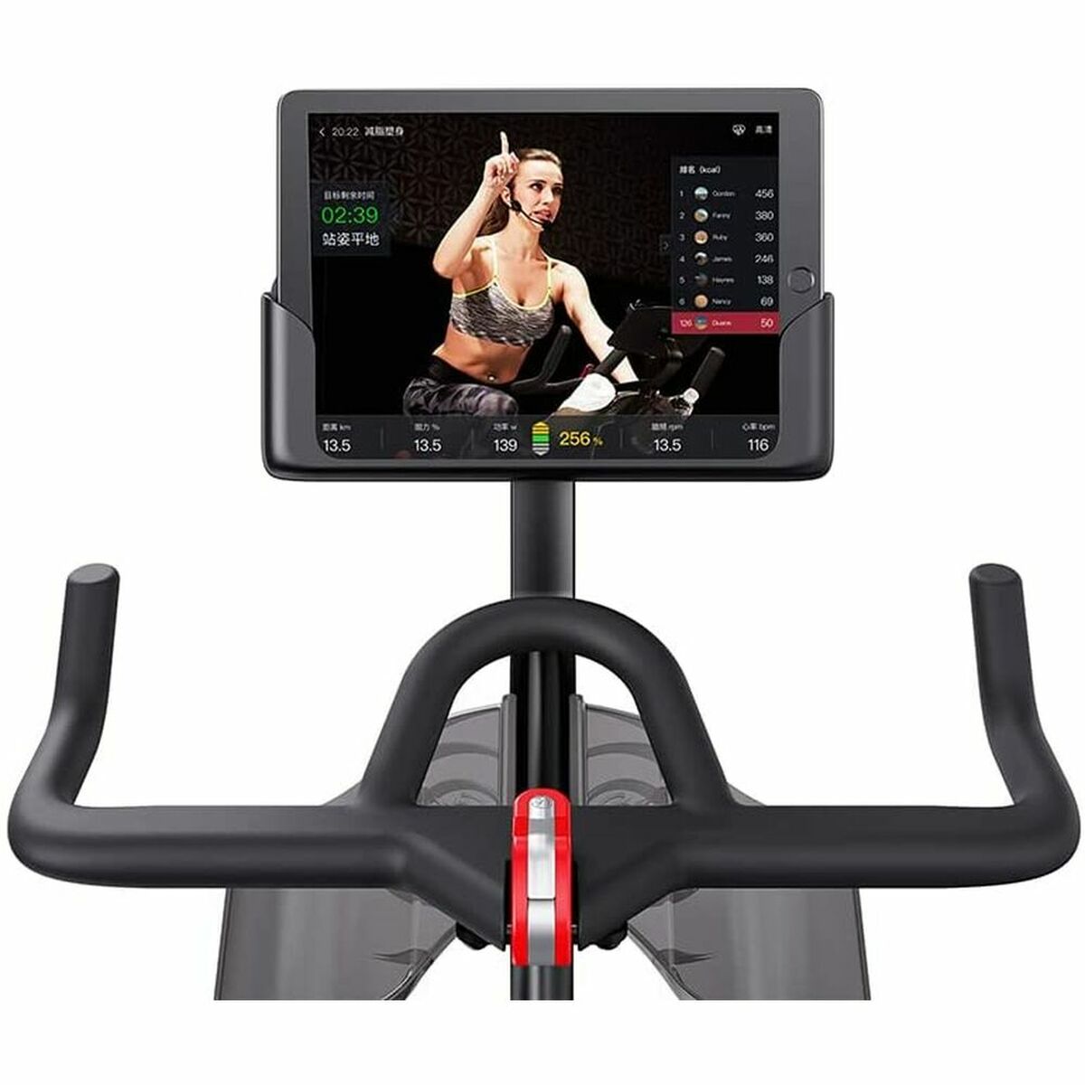 Stationary bike Yesoul Profesional V1