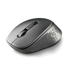 Mouse NGS Grey