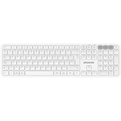 Bluetooth Keyboard Phoenix K300 White Spanish Qwerty